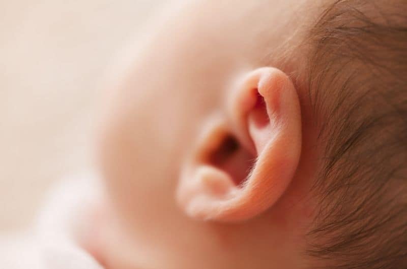 What is the purpose of ear wax?