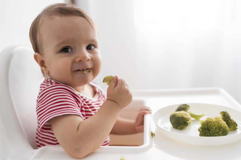When Should My Baby Eat Finger Foods? - Baby Cues & Timing