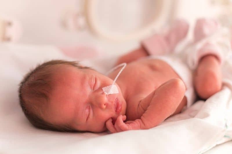 A preemie baby is sleeping in the NICU at the hospital