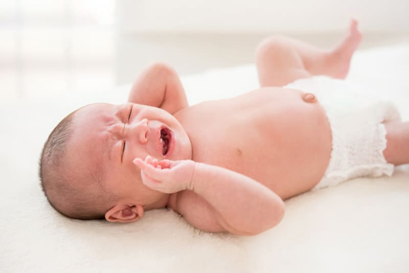 A newborn baby is crying after drinking moms breast milk, because he has a food intolerance.