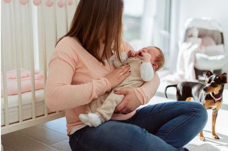 Reasons to Stop Breastfeeding