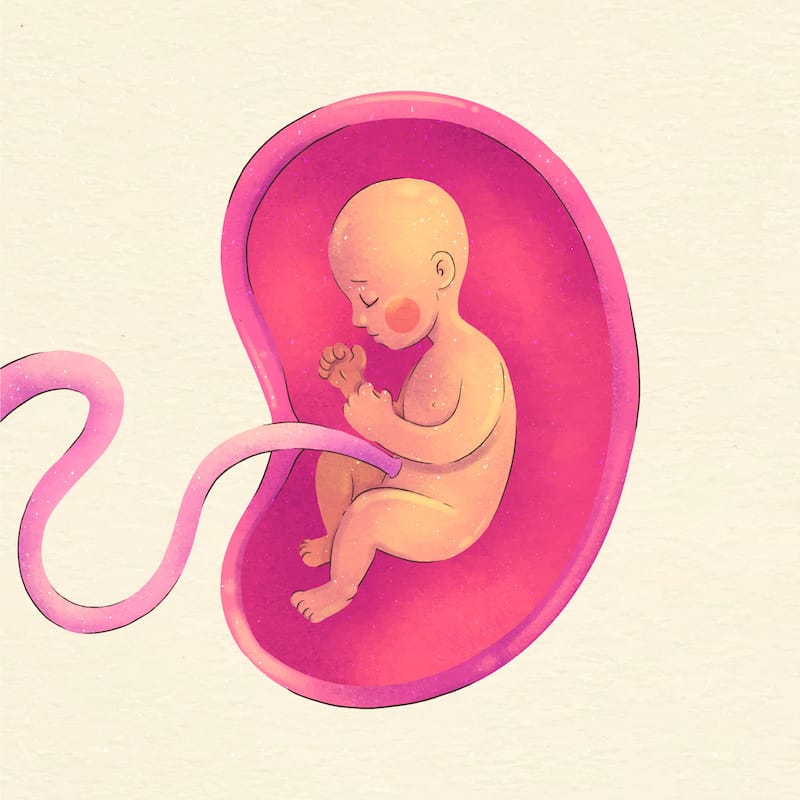 A baby is actively moving around in the womb