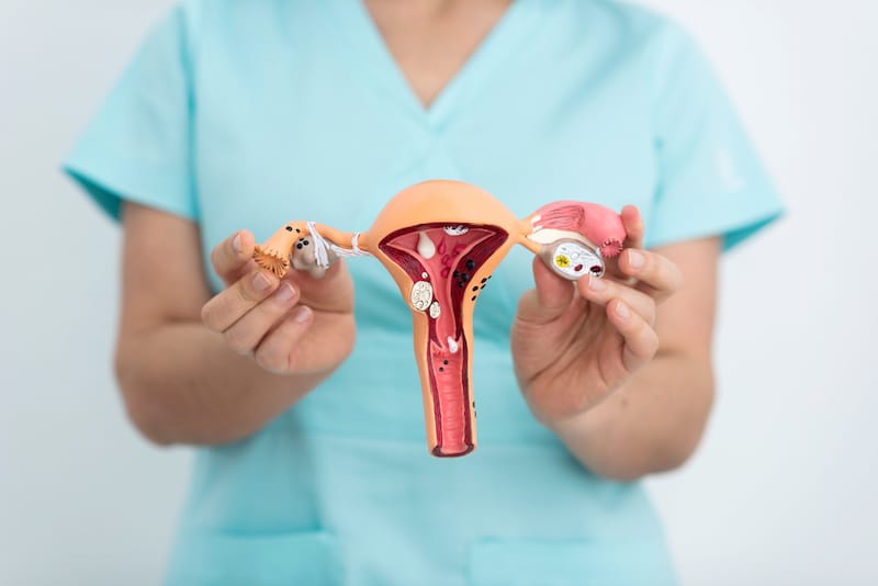A gynecologist is showing a model of a vagina to her patient, to show how things will change when the pregnant patient is dilated and ready for labor.