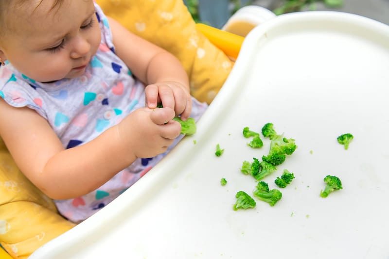 An infant girl is playing around with the broccoli that mom put on her high chair as an introduction to solid foods