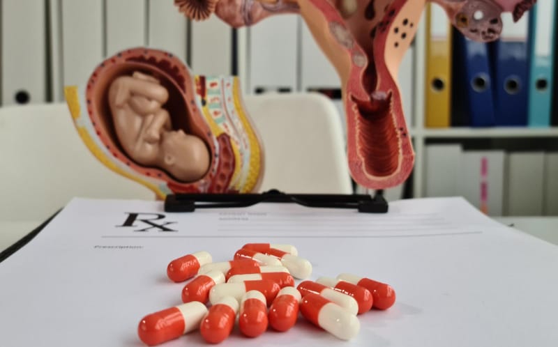 A bunch of prenatal vitamins are displayed near a model uterus and pregnant womb.
