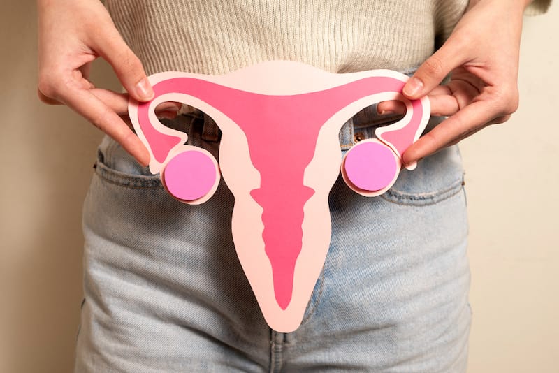 A woman is holding a cardboard model of a cervix over her own, to show how the cervix changes during pregnancy.