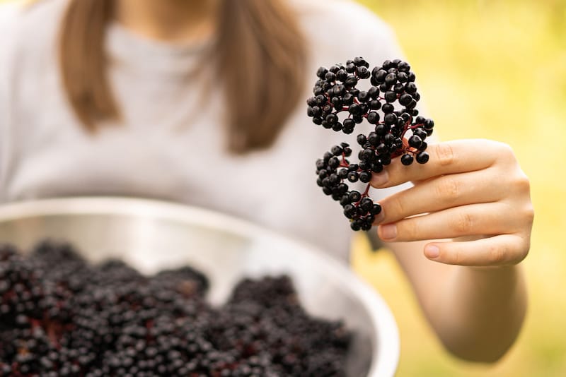 A woman is holding a big container of elderberry